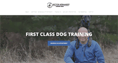 Desktop Screenshot of firstclassdogtraining.com