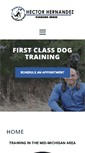 Mobile Screenshot of firstclassdogtraining.com